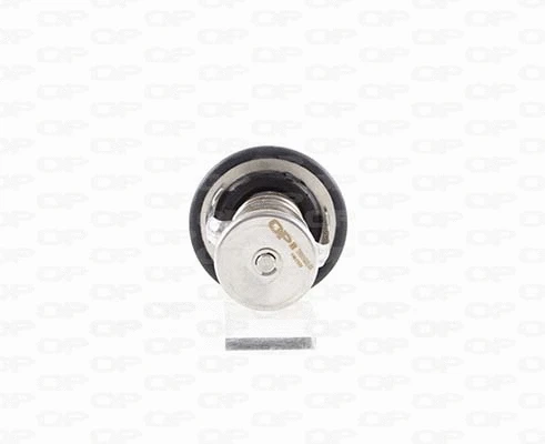 Thermostat, coolant (TRM1028.00)