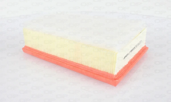Air Filter (EAF3640.10)