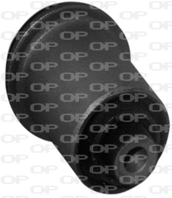 Mounting, control/trailing arm (SSS1087.11)