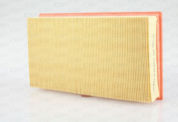 Air Filter (EAF3555.10)