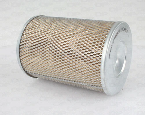 Air Filter (EAF3431.20)
