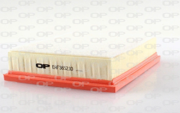Air Filter (EAF3652.10)
