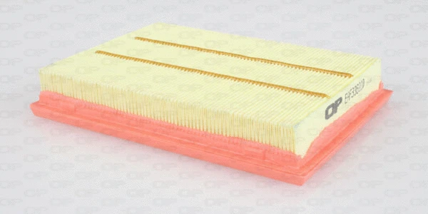 Air Filter (EAF3369.10)