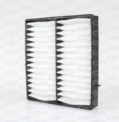 Filter, cabin air (CAF2111.01)