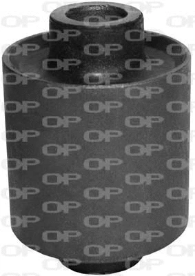 Mounting, control/trailing arm (SSS1093.11)