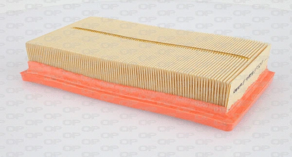 Air Filter (EAF3124.10)