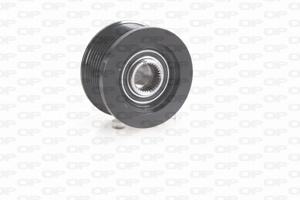 Alternator Freewheel Clutch (ACA3031.00)