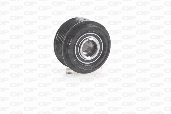 Alternator Freewheel Clutch (ACA3042.00)