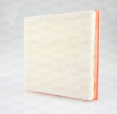 Air Filter (EAF3458.10)