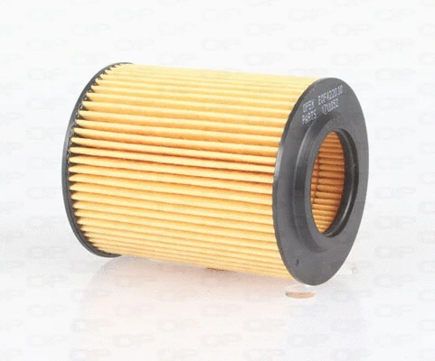 Oil Filter (EOF4220.10)