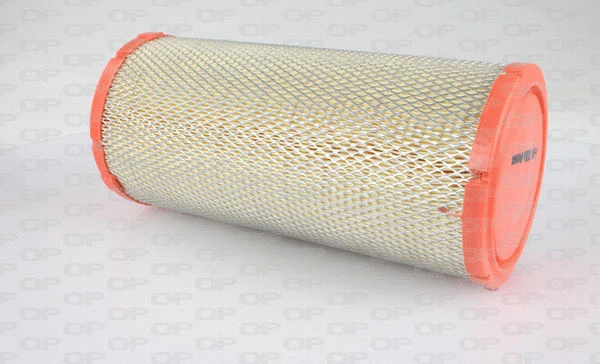 Air Filter (EAF3085.20)