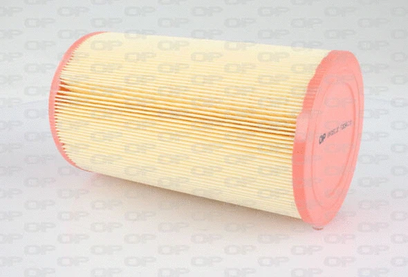 Air Filter (EAF3062.20)