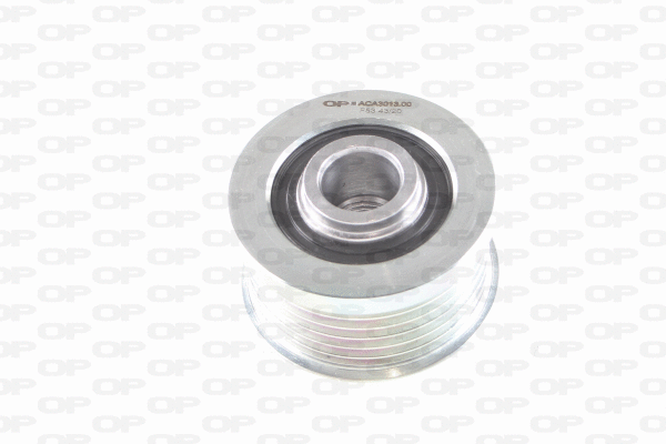 Alternator Freewheel Clutch (ACA3013.00)