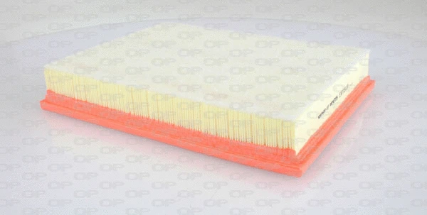 Air Filter (EAF3311.10)