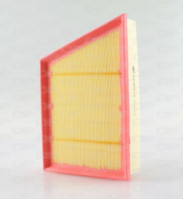 Air Filter (EAF3679.10)
