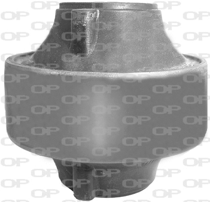 Mounting, control/trailing arm (SSS1038.11)
