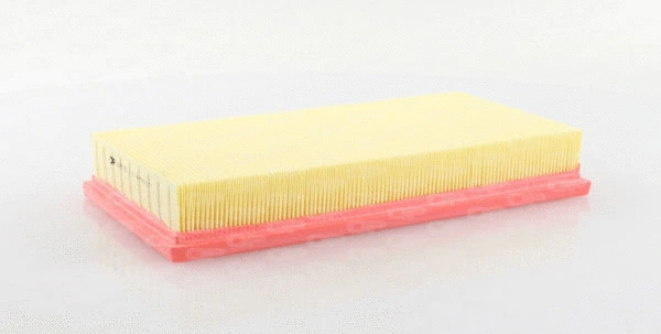 Air Filter (EAF3065.10)