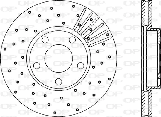 Brake Disc (BDRS1732.25)