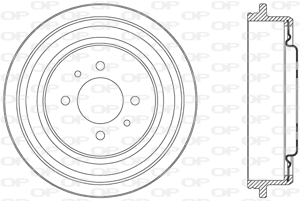 Brake Drum (BAD9042.20)