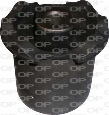 Mounting, control/trailing arm (SSS1042.11)