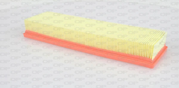 Air Filter (EAF3018.10)