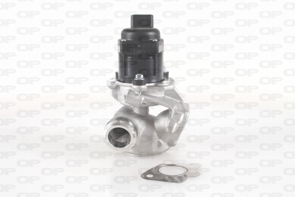 EGR Valve (EGR3007.00)