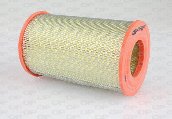 Air Filter (EAF3270.20)