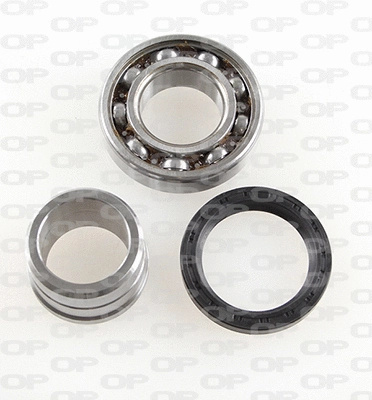 Wheel Bearing Kit (HBK5187.00)