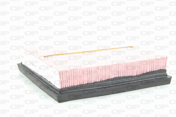 Air Filter (EAF3728.10)