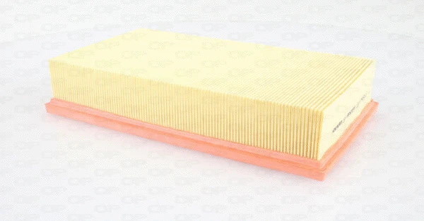 Air Filter (EAF3499.10)