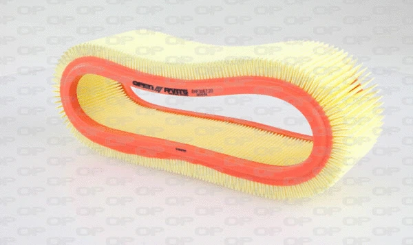 Air Filter (EAF3167.20)