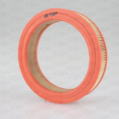 Air Filter (EAF3380.20)