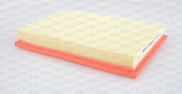 Air Filter (EAF3079.10)