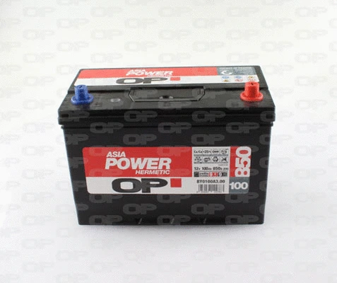Starter Battery (BY0100A3.00)