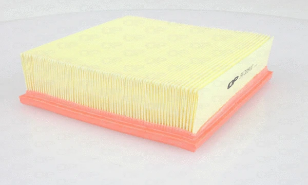 Air Filter (EAF3384.10)