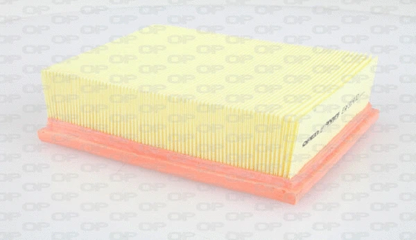 Air Filter (EAF3114.10)