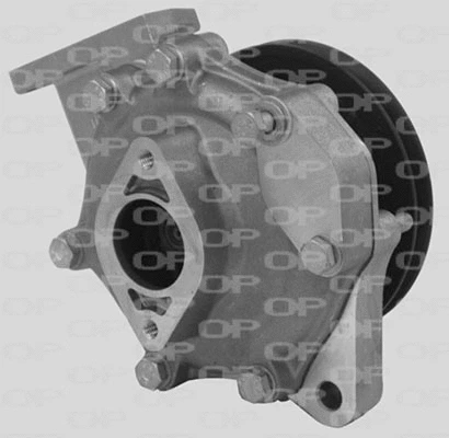 Water Pump, engine cooling (WAP8134.10)