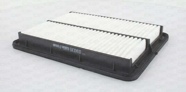 Air Filter (EAF3549.10)