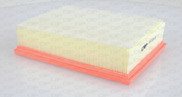 Air Filter (EAF3180.10)