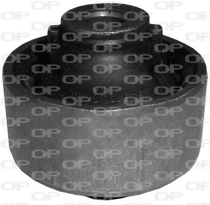Mounting, control/trailing arm (SSS1066.11)