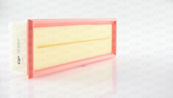 Air Filter (EAF3648.10)