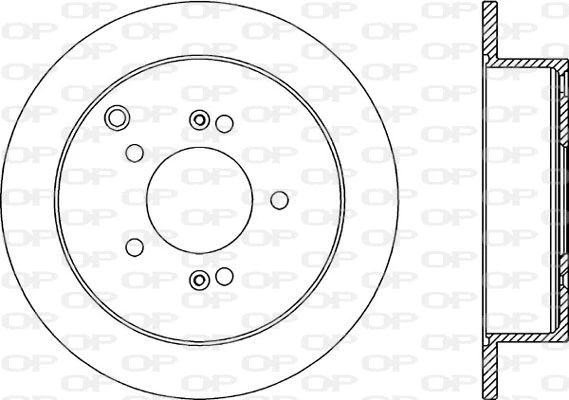 Brake Disc (BDR2174.10)