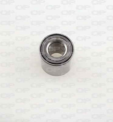 Wheel Bearing Kit (HBK5107.01)