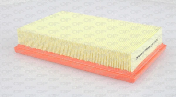 Air Filter (EAF3066.10)