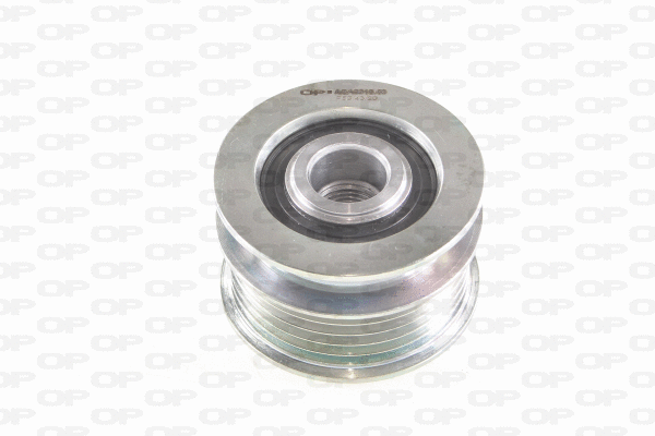 Alternator Freewheel Clutch (ACA3015.00)