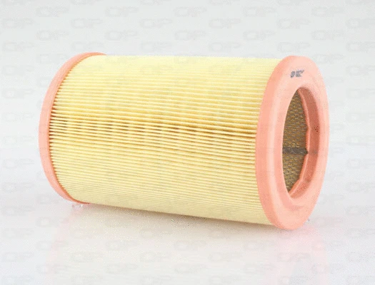 Air Filter (EAF3574.20)