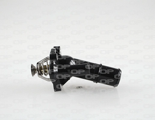 Thermostat, coolant (TRM1113.00)