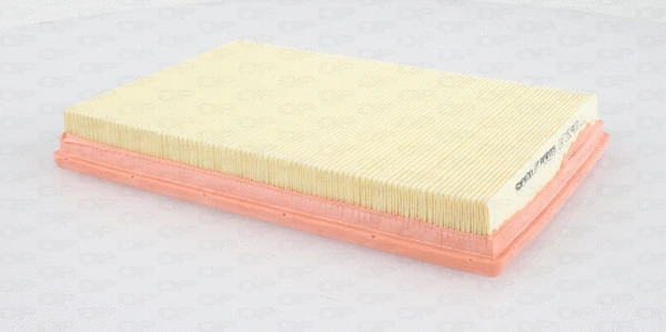 Air Filter (EAF3524.10)