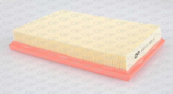 Air Filter (EAF3071.10)
