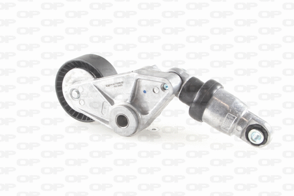 Belt Tensioner, V-ribbed belt (ACT2209.00)